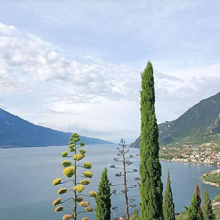 Centro Vacanze La Limonaia Limone sul Garda Ngoại thất bức ảnh